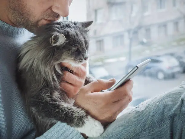 Photo of Young man sits on the windowsill, holds kitten on his lap and reads news