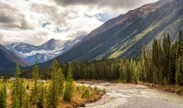 istock Autumn on the Vermilion River in Yoho National Park 1001665448