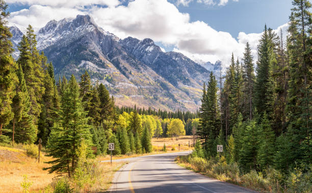 istock Bow River Parkway in Autumn in Banff National Park 1001668326