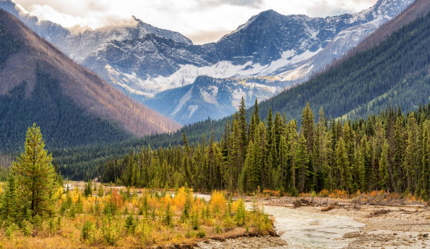 istock Autumn on the Vermilion River in Yoho National Park 1001668400