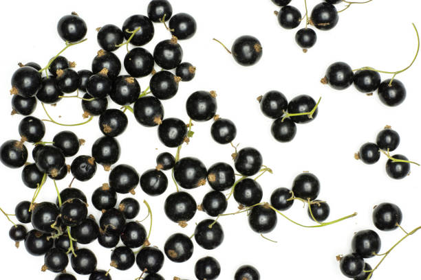 istock Fresh Raw Black Currant berry isolated on white 1001676142
