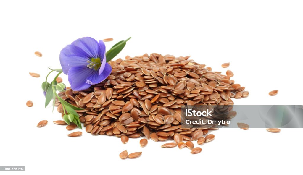 semillas de lino con flor aislado sobre fondo blanco. la linaza o la linaza. Cereales. - Foto de stock de Semilla de lino libre de derechos