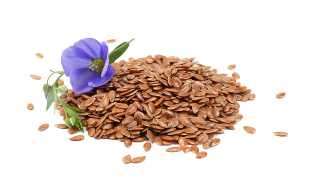 flax seeds with flower isolated on white background. flaxseed or linseed. Cereals. flax seeds with flower isolated on white background. flaxseed or linseed. Cereals. flax seed stock pictures, royalty-free photos & images