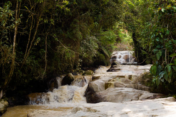 Cameron Highlands Robinson Falls trekking