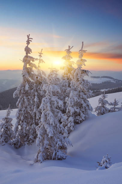 istock Beautiful sunset in winter 1001677216