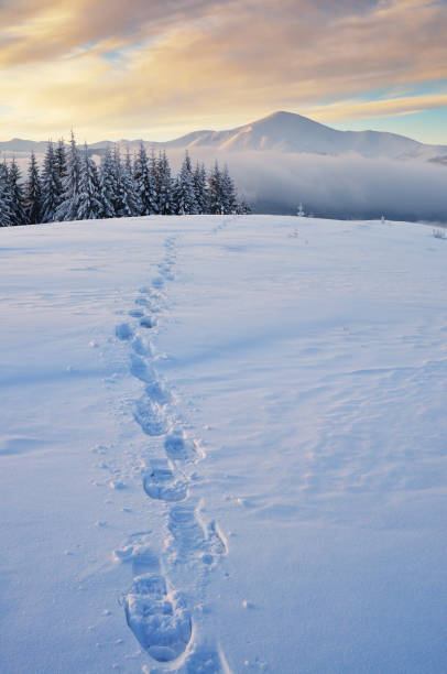 istock Trail in the snow in the mountains 1001677228