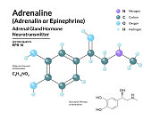 adrenalin-hormons-adrenalin-neurotransmitter-kampf-oder-flucht-reaktion-strukturelle.jpg?b=1&s=170x170&k=20&c=THRCKqQ0EToS1sNsDIusW3tvIC7GJANUhsJzpNVT4Rk=