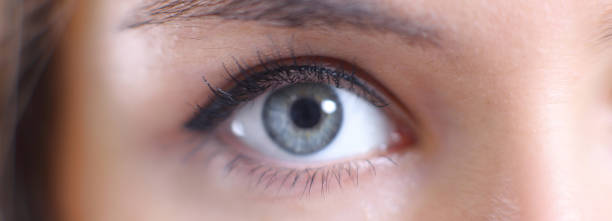 istock close up.beautiful women eye. macro image 1001688102