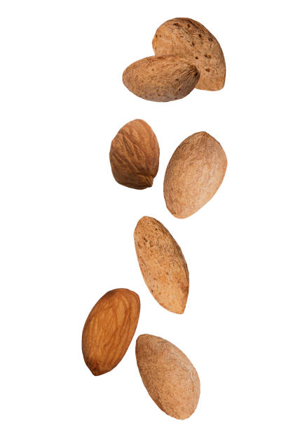 istock Isolated flying almond nuts on white background 1001708598