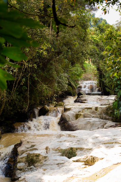 Cameron Highlands Robinson Falls trekking