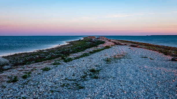 alba drammatica sul mar baltico con spiaggia rocciosa e alberi sulla riva - hiiumaa foto e immagini stock
