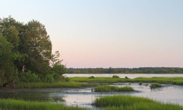Quiet morning on the Chesapeake Bay