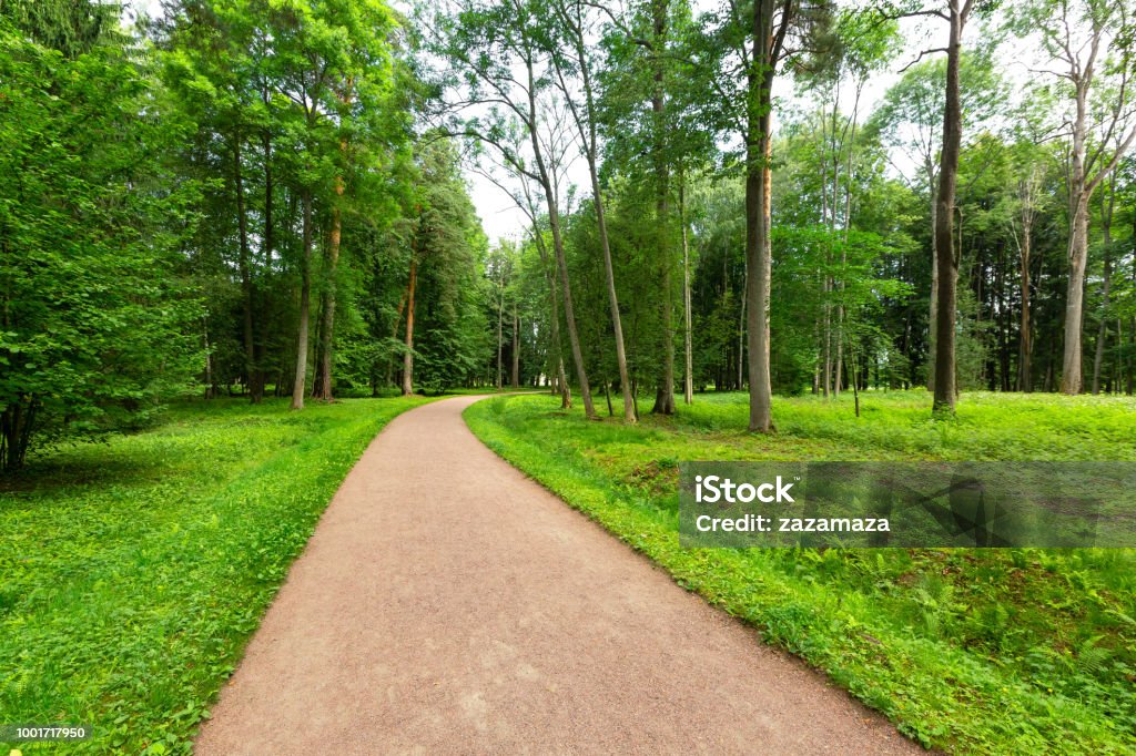 Chemin sinueux à travers un parc de verdure tranquil avec pelouse et grands arbres verts dans la journée de l’été pour marcher et se détendre et respirer l’air pur. - Photo de Parc public libre de droits