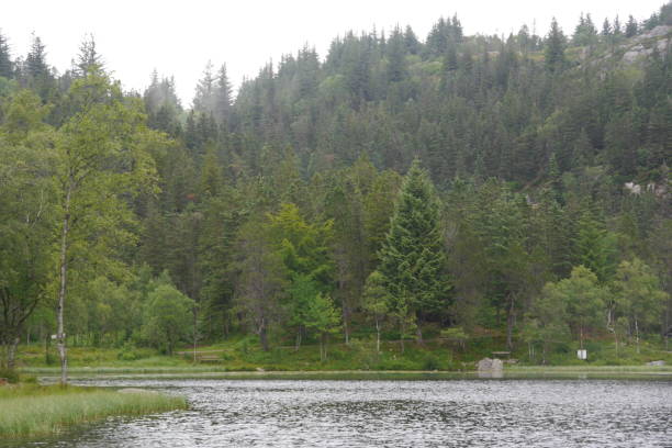 istock Trees adjacent to lake in Bergen, Norway 1001727290
