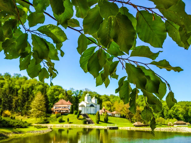 istock A piece of nature 1001727414