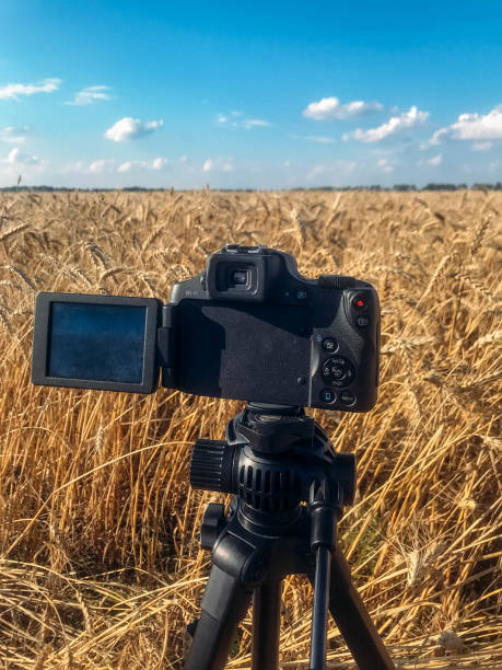 istock camera on the tripod in wheat field 1001727886