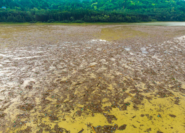istock lake water pollution with plastic bags 1001728040