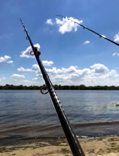 istock summer fishing on the river 1001728404