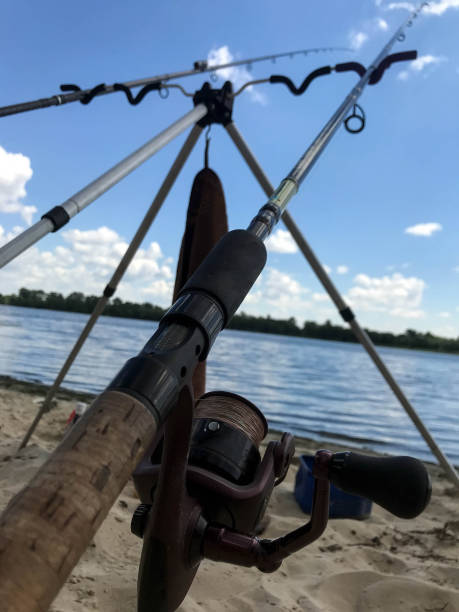 istock summer fishing on the river 1001730686
