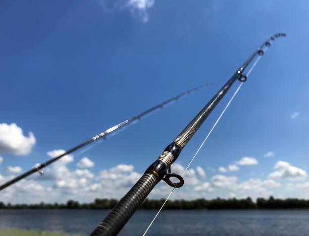 summer fishing on the river