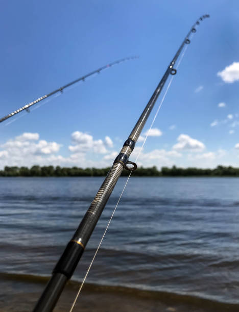 istock summer fishing on the river 1001731252