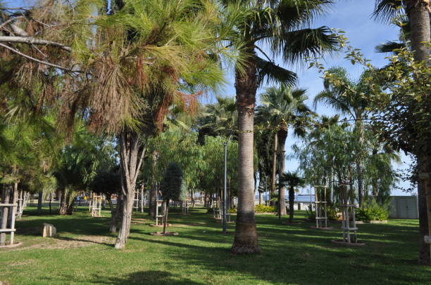 istock The beautiful Limassol Molos in Cyprus 1001735536