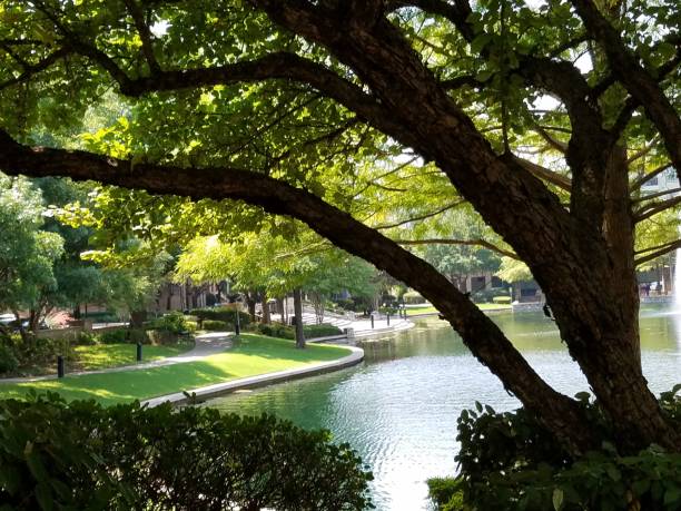 Lake at Shops at Legacy