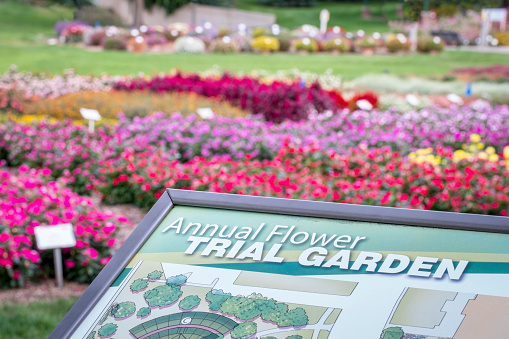 Fort Collins, CO, USA - September 16, 2015: Annual Flower Trial Garden at Colorado State University - information sign with flower bed in background.
