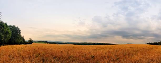 istock scenic panorama view of natural landscape under a cloudy sky 1001745376