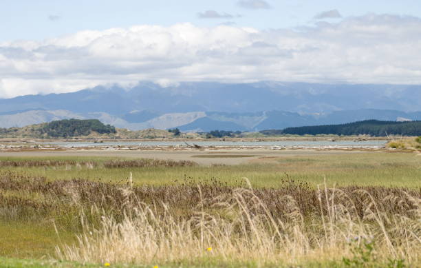 Landscape View of the Manawatu Estuary wetlands Landscape View of the Manawatu Estuary wetlands looking out towards the Tararua Ranges on the North Island of New Zealand. manawatu river stock pictures, royalty-free photos & images