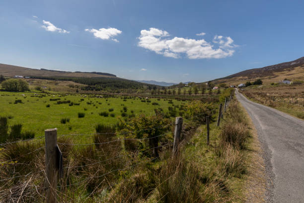 istock Inish Owen, Ireland 1001753568