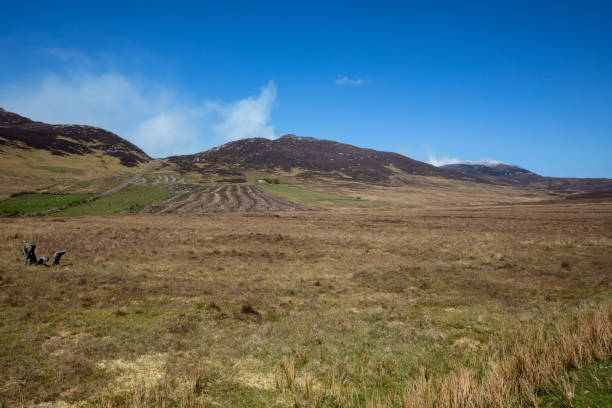 istock Inish Owen, Ireland 1001753574