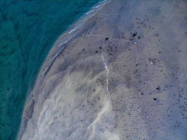 上記の空中映像カリフォルニア ハンティントンビーチ - lifeguard orange nature beach ストックフォトと画像