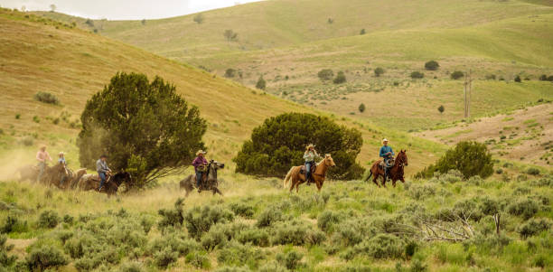 utah rancher auf pferde im galopp - horse panoramic scenics prairie stock-fotos und bilder