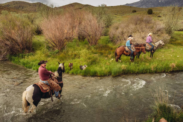 istock Utah ranchers riding across the river 1001770508