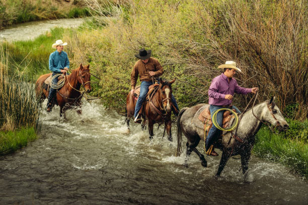 istock Utah ranchers riding across the river 1001772586