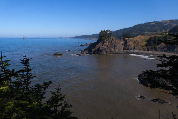 istock Scenic view along the Oregon coast. 1001781396