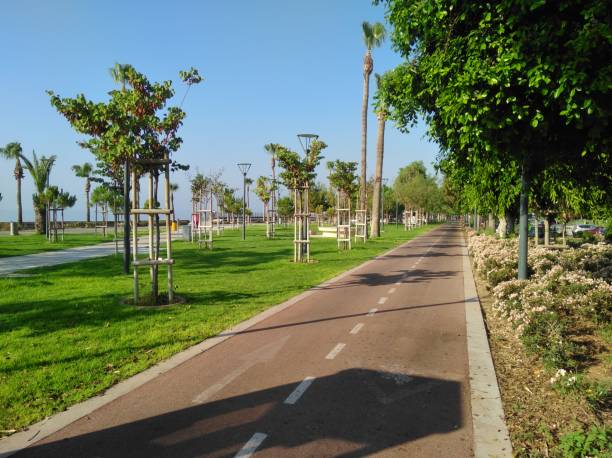 istock The beautiful Limassol Molos in Cyprus 1001782080