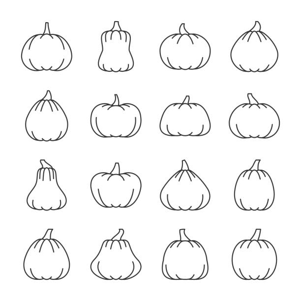 illustrazioni stock, clip art, cartoni animati e icone di tendenza di set di icone della linea di zucca di halloween del tratto modificabile - gourd halloween fall holidays and celebrations