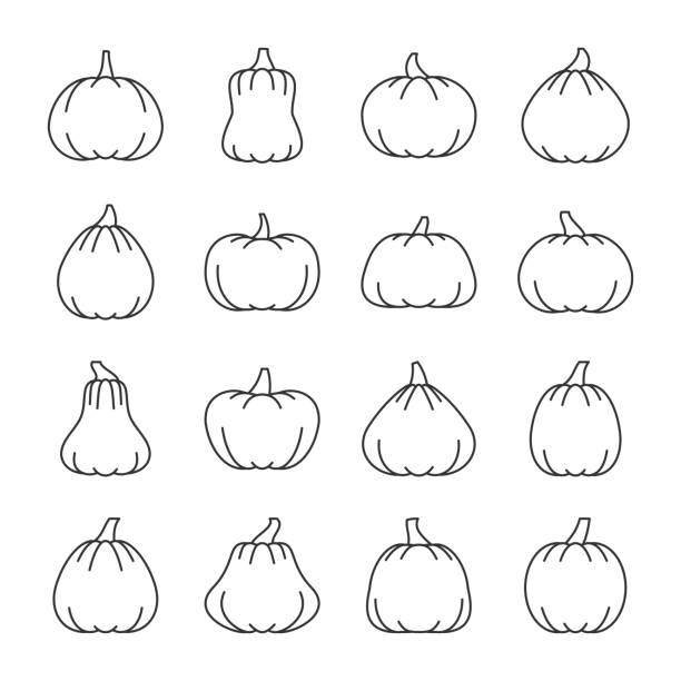 Editable stroke Halloween pumpkin line icon set vector art illustration