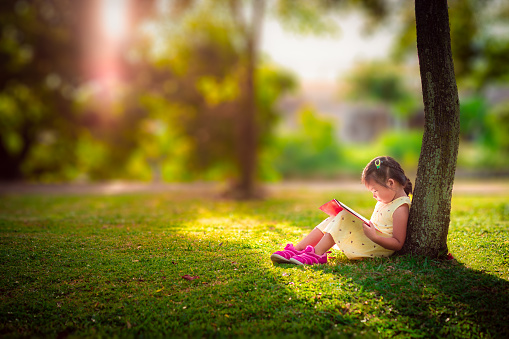 A little cute girl in a yellow dress reading a book sitting under the tree