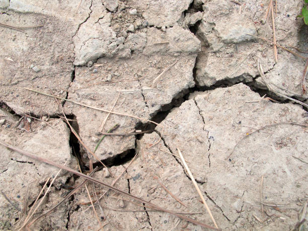 istock Cracked soil with big crack in the middle 1001802396