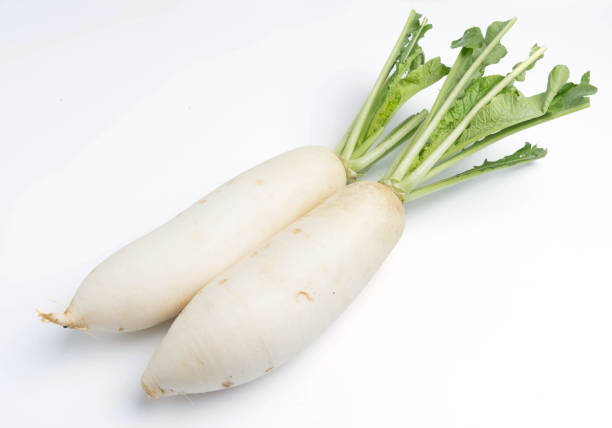 istock daikon radishes isolated on white background 1001805132
