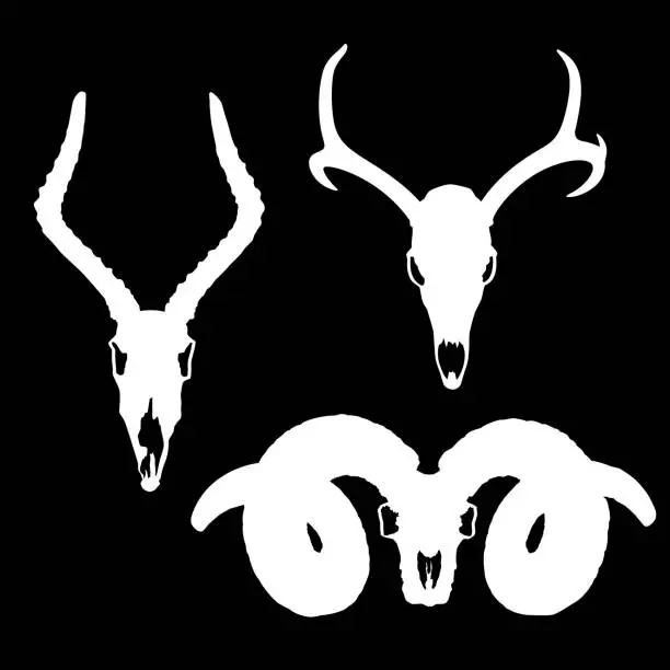 Vector illustration of Animal Skulls Silhouettes