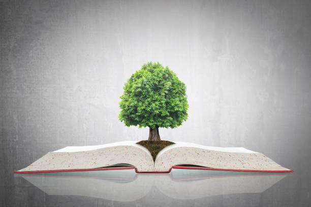 istock Tree of knowledge growing on open textbook for educational investment and success concept 1001814398
