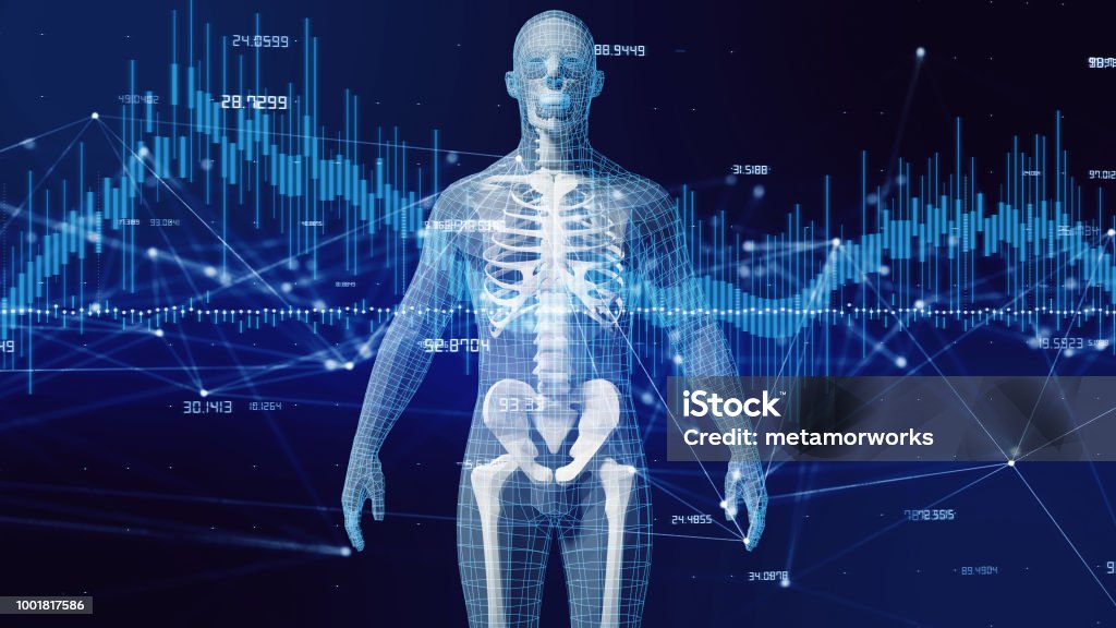 Human body and communication network concept. The Human Body Stock Photo