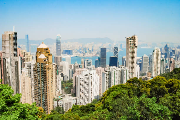 istock Victoria  peak view in hong kong 1001830316