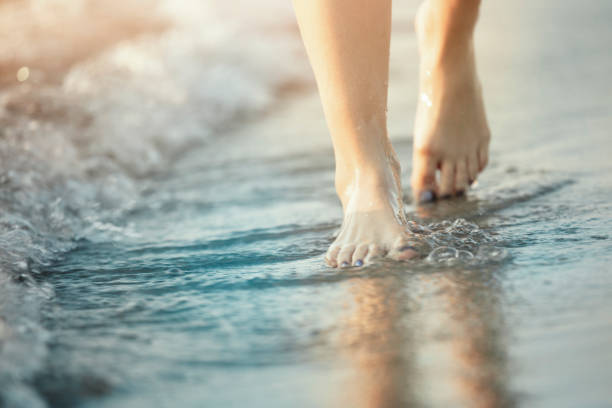istock Walking on the beach at sunset in summer 1001845636