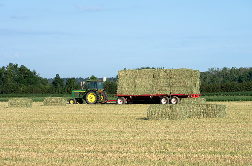 A tractor and wagon with a load of large square bales of hay.