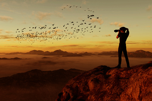 3d illustration of silhouette photographer taking a picture of birds flock on top of the mountain at sunset